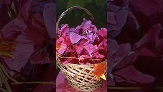 ഈർക്കിൽ കൊണ്ട് കുറച്ചു അടിപൊളി CRAFT #art #flowers #diy #craft #onam #decoration#tutorial #malayalam