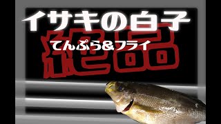 長崎県産　旬のイサキを使った白子天ぷら＆フライ