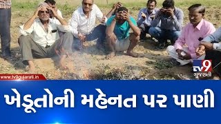 Unseasonal rain ruined crops in Jamnagar, farmers in deep tension | TV9GujaratiNews