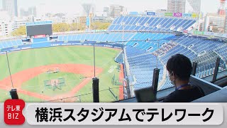 横浜スタジアムでテレワーク　個室観覧席をワーキングスペースに（2022年4月8日）