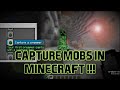 MINECRAFT BUT YOU CAN CAPTURE MOBS!!!