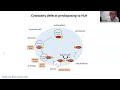 Joint Webinar: CIS & Histiocyte Society