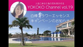 【宮古島からのご案内〜北海道白樺フラワーエッセンスってどんなエッセンス？】YOKOKOチャンネルvol.19