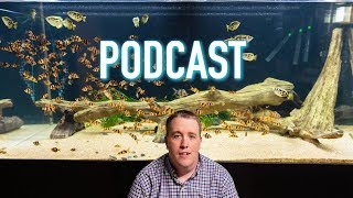 Ins and Outs of The Aquarium Business | Interview With Cory - Aquarium Co-Op