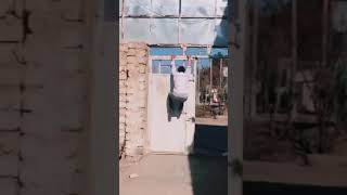 Afghanistan Parkour Athlete | #Shorts #YouTube #Sports #Gym #Fitness #BodyBuilding #USA #Viral #Like