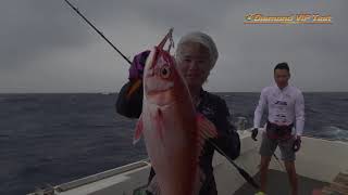 JIGGING MASTER  V.I.P DIAMOND JIG 鑽石V.I.P鐵板完勝