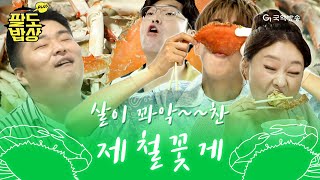 [팔도밥상PLUS - 인천광역시편] 🦀살이 꽈악~찬 꽃게 보러 모여라! 🦀제철꽃게로 입안 가득 행복!!