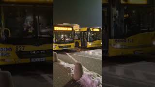 Autobusy w Katowicach/ Buses in Katowice