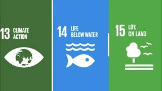 57 Climate Action - SDG 13, SDG 14, SDG 15