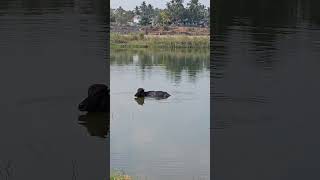 ഭാരതപ്പുഴയിൽ നിന്ന് പകർത്തിയത്...