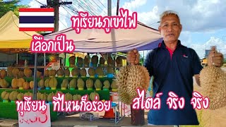 #ทุเรียนภูเขา# เลือกเป็นที่ไหนก็ได้ #ของดีศรีสะเกษ# นิตอินทร์ ชาแนล#