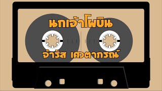 นกเจ้าโผบิน – จำรัส เศวตาภรณ์  [Hi-Res Audio 24Bit/48kHz]