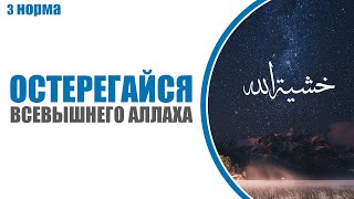 3. Украшение искателя знаний | Абу Яхья Крымский