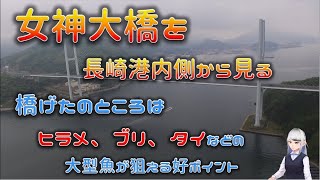 長崎港口にかかる 女神大橋を長崎港内の側から空撮