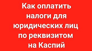 Как оплатить налоги для юридических лиц по реквизитом на Каспий