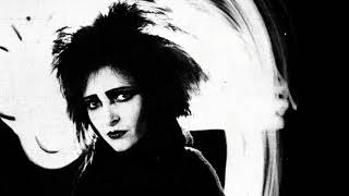 Siouxsie And The Banshees - Cities in Dust (ACAPELLA) 1986