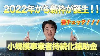 【最大200万円補助】2022年から新枠誕生！小規模事業者持続化補助金