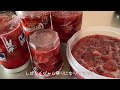 【帰省vlog】実家で羽を伸ばす２泊３日｜焼肉｜夜カフェ🍓コストコ購入品