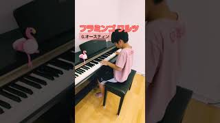 【ピアノ発表会おすすめ】フラミンゴワルツ／G.オースティン