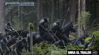 El planeta de los simios: Confrontación | Trailer Subtitulado (HD)