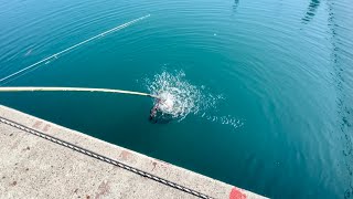 仕掛けを投げ入れた瞬間にいきなりヒット〜１投目で大物捕獲に成功！！