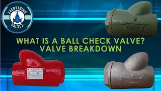 What is a Ball Check Valve? Ball Check valve disassembly and assembly. Ball check Valve explained.