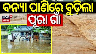 Odisha Rain |ବନ୍ୟା ପାଣିରେ ବୁଡ଼ିଲା ପୂରା ଗାଁ | Malkangiri Flood | Flood Water Enter Into Village