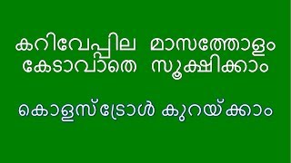 കറിവേപ്പില മാസത്തോളം കേടുകൂടാതെ സൂക്ഷിക്കാം കൊളസ്ട്രോളും കുറയ്ക്കാം