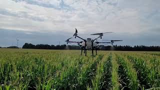 Drone Spray Canada - TTA M6E Spraying Corn