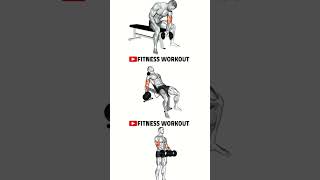 PICEPS WORKOUT DUMBBELLS ONLY
