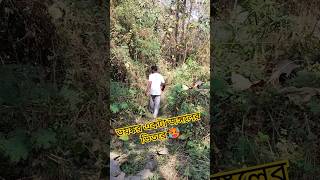 আজকে গিয়েছিলাম সবাই মিলে ভয়ঙ্কর একটা জঙ্গলের 😱Bangla Minivlog ||#shorts #minivlog#vlog#trending