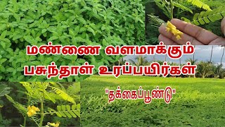 மண்ணின் உயிர்ச்சத்தை அதிகரிக்க பசுந்தாள் உரம்| Green manure| பசுந்தாள் உரப்பயிர்களும் அதன் பயன்களும்