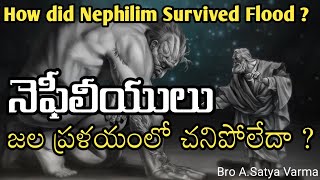 నెఫీలీయులు జలప్రళయంలో ఎలా బ్రతికారు ? |How Nephilim Survived Flood  |Post Flood Nephilim |Nephilim |