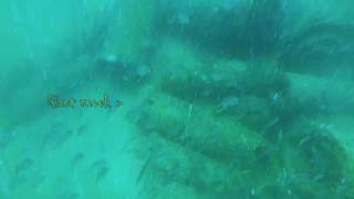 Sanibel Reef Freedive