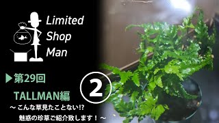 リミテッドショップマン淡水編『こんな草見たことない⁉︎魅惑の珍草ご紹介致します！』