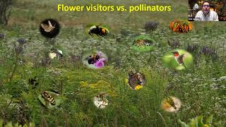 November 2023 Pollinator Meadow Updates with Rob Gegear