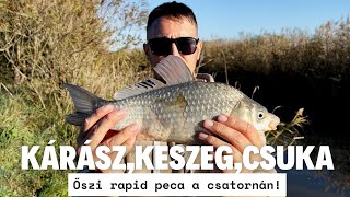 kárász,keszeg csuka horgászat! #fishing #horgászat #river