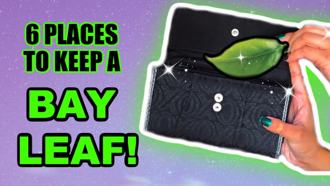 6 PLACES TO KEEP A BAY LEAF! ATTRACT MONEY, ENHANCE LOVE, PROTECTION & MORE