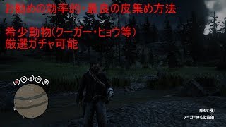 【レッド・デッド・リデンプション 2】お勧めの効率的・最良の皮集め(希少動物・クーガー等)【厳選ガチャ】