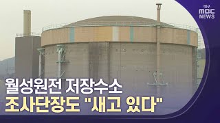 월성원전 저장수조, 조사단장도 \