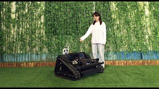 Brushless Motor Remote Mowing Tank (VTLM600) from Vigorun Tech