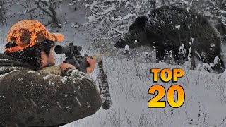 TOP 20 WILD BOAR HUNTS - EN İYİ 20 DOMUZ AVI