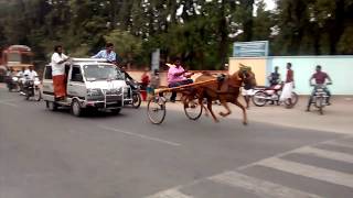 PONGAL HORSE RACE