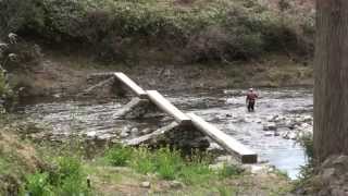 Hayase Log Bridge,  早瀬の一本橋　北川川　芳生野　津野町　高知県