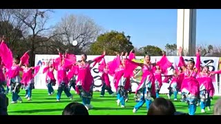 堺よさこいかえる祭り2024　3月3日　～ピンクチャイルドJr．～　in大仙公園　＃堺よさこいかえる祭り　＃ピンクチャイルドJr　＃第12回　＃キッズチーム賞