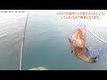 するするスルルー＃5　竿が伸される瞬間！！和歌山県串本町袋の一級磯に初挑戦！