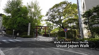 【Japan Walk】Nezu, Tokyo: Walk around Nezu Shrine.