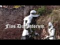 Harnischfechten | longsword fights