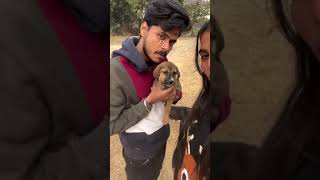 Target 10 millions views and subscribers day 001 helping poor dog 🐶 #puppylife #india #hardwork #dog