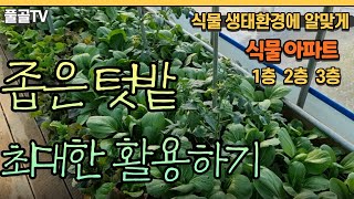 작은 텃밭 최대한 활용하기 #텃밭온실 #텃밭재배 #작은텃밭 #생태텃밭 #온실텃밭 #5월텃밭